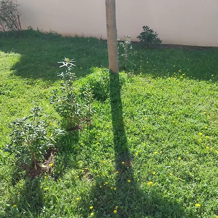 بيت للعطل Maison