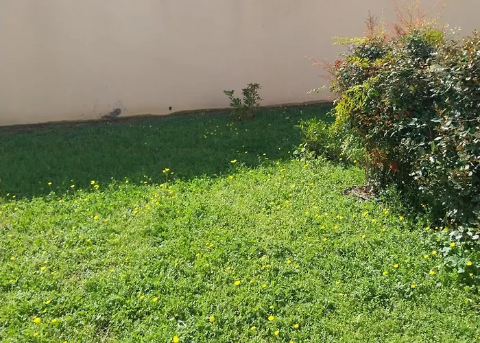 Maison * 滨海阿热莱斯